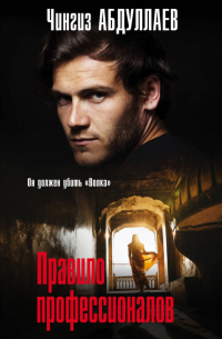 Правило профессионалов