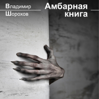Владимир Шорохов - Амбарная книга