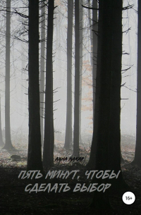 Пять минут, чтобы сделать выбор