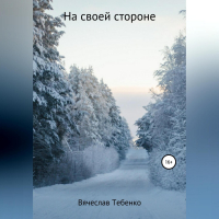 Вячеслав Тебенко - На своей стороне