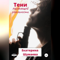 Екатерина Шумаева - Тени пылающей реальности