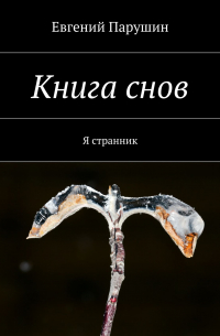 Евгений Парушин - Книга снов