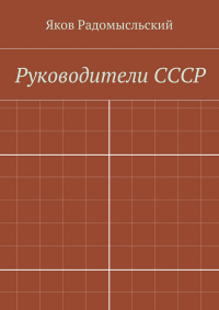 Яков Исаакович Радомысльский - Государство и власть