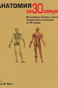 Анатомия за 30 секунд