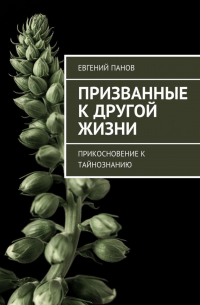 Евгений Панов - Призванные к другой жизни. Прикосновение к тайнознанию