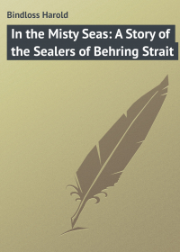 Harold  Bindloss - In the Misty Seas: A Story of the Sealers of Behring Strait