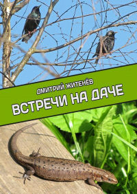 Дмитрий Житенев - Встречи на даче