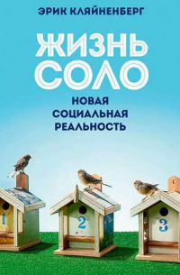 Эрик Кляйненберг - Жизнь соло. Новая социальная реальность