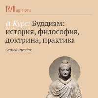 Сергей Щербак - Практика работы с психикой и сознанием в буддизме