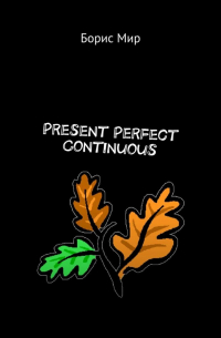 Борис Мир - Present Perfect Continuous