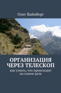 Вайнберг Олег Маратович - Организация через телескоп. Как узнать, что происходит на самом деле