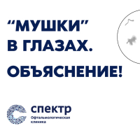 Арсений Кожухов - «Мушки в глазах». ОБЪЯСНЕНИЕ! Реально ли избавиться?