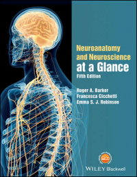  - Neuroanatomy and Neuroscience at a Glance