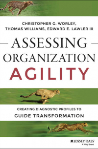  - Assessing Organization Agility. Creating Diagnostic Profiles to Guide Transformation