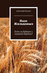 Анатолий Ехалов - Поле Жильцовых. Есть ли будущее у северной деревни?