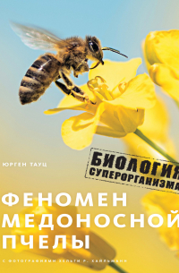 Юрген Тауц - Феномен медоносной пчелы. Биология суперорганизма