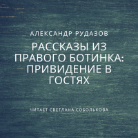 Александр Рудазов - Привидение в гостях