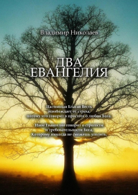 Владимир Николаев - Два Евангелия. Современные и вечные проблемы христианства, отношений человека и Бога