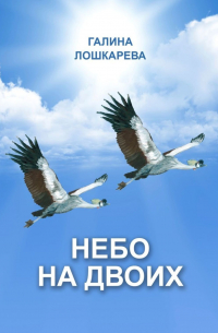 Небо на двоих