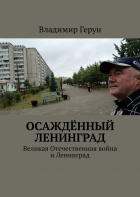 Владимир Герун - Осаждённый Ленинград. Великая Отечественная война и Ленинград