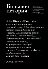 Дэвид Кристиан - Большая история