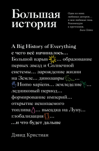 Дэвид Кристиан - Большая история