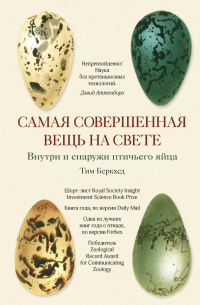 Тим Беркхед - Самая совершенная вещь на свете
