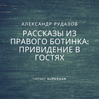 Александр Рудазов - Привидение в гостях