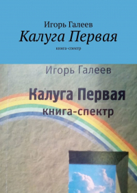 Игорь Галеев - Калуга Первая. Книга-спектр