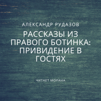 Александр Рудазов - Привидение в гостях