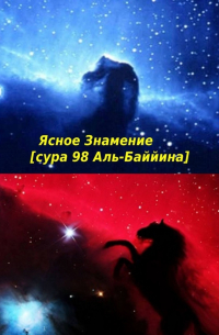 Артур Данагаев - Ясное Знамение [сура 98 Аль-Баййина]. Идите и терпите за своих Богов. Истина – это то, что от нас желают?