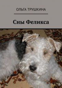 Ольга Трушкина - Сны Феликса