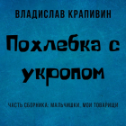 Владислав Крапивин - Похлебка с укропом