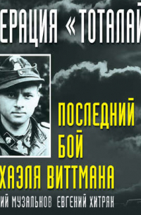 Операция «Тоталайз». Последний бой Михаэля Виттмана