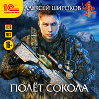 Алексей Широков - Полет сокола