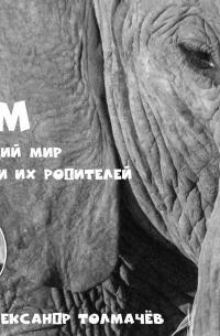 Почему в Австралии такие странные животные?