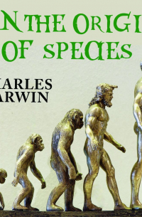 Чарльз Дарвин - On the Origin of Species