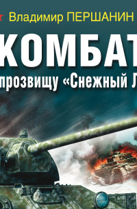 Комбат по прозвищу «Снежный Лис»