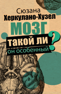 Мозг. Такой ли он особенный?