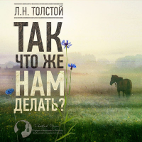 Лев Толстой - Так что же нам делать?