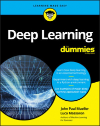  - Deep Learning For Dummies