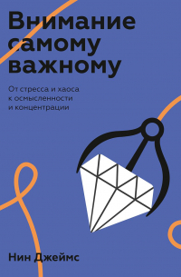 Нин Джеймс - Внимание самому важному