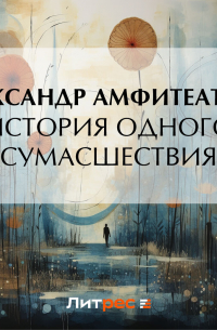 История одного сумасшествия