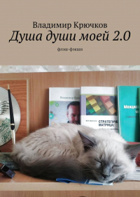 Владимир Крючков - Душа души моей 2. 0. флэш-фэкшн