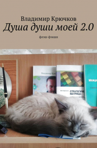 Владимир Крючков - Душа души моей 2. 0. флэш-фэкшн