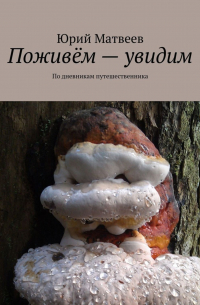 Юрий Матвеев - Поживём – увидим. По дневникам путешественника