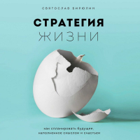 Святослав Бирюлин - Стратегия жизни. Как спланировать будущее, наполненное смыслом и счастьем
