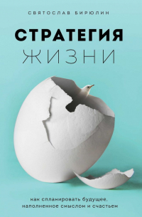 Святослав Бирюлин - Стратегия жизни. Как спланировать будущее, наполненное смыслом и счастьем