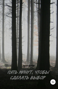 Пять минут, чтобы сделать выбор