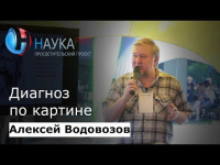 Алексей Водовозов - Диагноз по картине